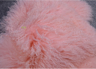 중국 몽골 양가죽 양탄자 분홍색은 여분 긴 머리 티베트 어린 양 모피 의복 손질을 염색했습니다 협력 업체