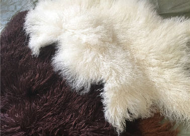 중국 긴 꼬부라진 양가죽 물자 자연적인 백색 티베트 lambswool 몽골 모피는 숨깁니다 협력 업체