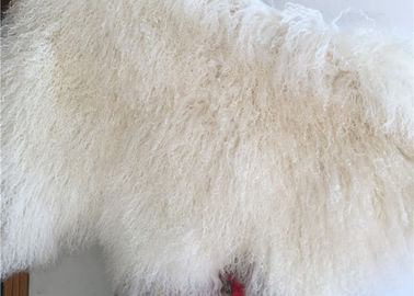 중국 100%년 양가죽 자연적인 긴 머리 몽골 Lambskin 크림 백색 꼬부라진 모피 양탄자 협력 업체