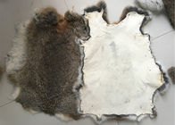 중국 Eco 친절한 무두질된 렉스 토끼 피부 가정 직물/베개를 위한 1.5-3 Cm 모피 길이 회사