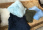 몽골 모피 베개 다채로운 염색된 긴 머리 티벳 피부 어린 양 모피 소파 방석 협력 업체
