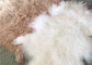 자연적인 꼬부라진 어린 양 모피 모피 몽골 양가죽은 긴 lambskin 지면 양탄자를 숨깁니다 협력 업체