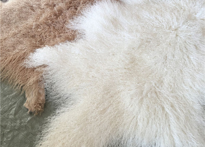 자연적인 꼬부라진 어린 양 모피 모피 몽골 양가죽은 긴 lambskin 지면 양탄자를 숨깁니다