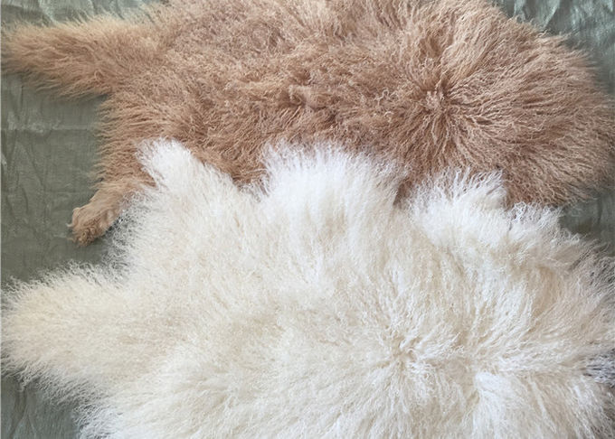 자연적인 꼬부라진 어린 양 모피 모피 몽골 양가죽은 긴 lambskin 지면 양탄자를 숨깁니다
