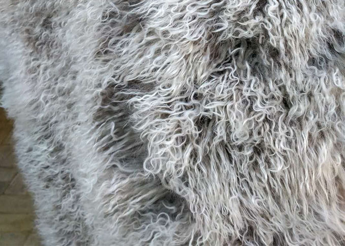 침대 던짐을 위한 긴 머리 자연적인 꼬부라진 양 모직 몽골 백색 모피 Materiral