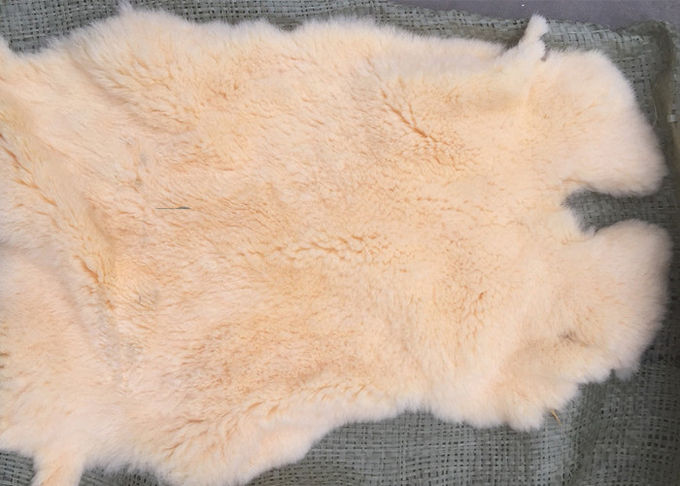 가정 직물 방풍 진짜 렉스 토끼 피부는 겨울 외투 안대기를 위해 데웁니다