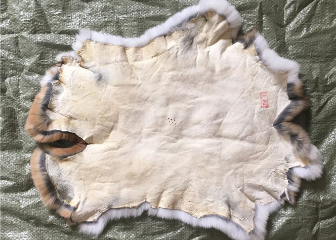 겨울 던짐, 22*30cm 백색 토끼 모피 모피를 위한 진짜 재킷 토끼 모피 